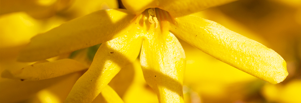 短信轰炸业务网